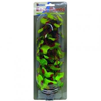 Superfish zijdeplant 30 cm nr. 13