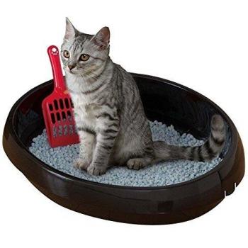Toilette pour chat avec pelle IRIS OHYAMA