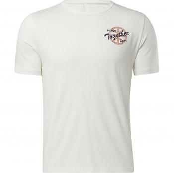 T-Shirt Reebok Uomo BB BASKETBALL AAWH HOOP