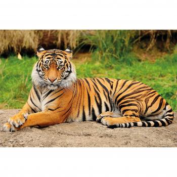 Raubkatzen-Motiv für Wanddeko