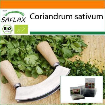 SAFLAX