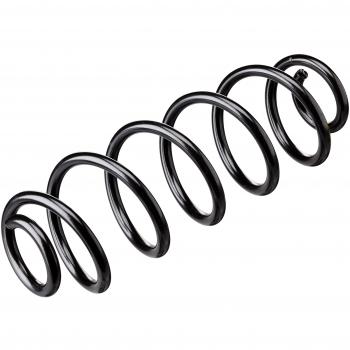 Kilen Rear Coil Spring 50226
