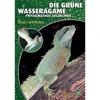 Die Grüne Wasseragame