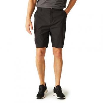 Regatta Herren Shorts Dalry RMJ305 Schwarz Regular Fit