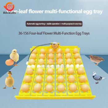 Duck and Chicken Egg Incubator with 36/156 Capacity