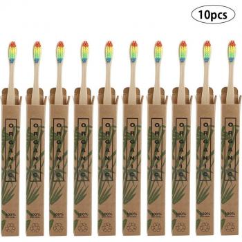 Set de brosses dentaires en bambou – 10 unités, poils naturels