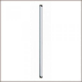 Paulmann Leuchtmittel Röhre G13 18 W 1350 lm