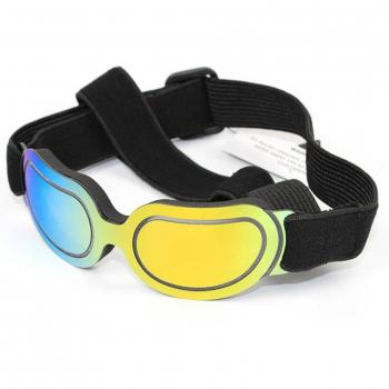 Cat and Dog Sunglasses