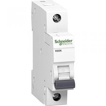 Interruttore Automatico 1P C 6A 6kA AC (Model K60N) Schneider
