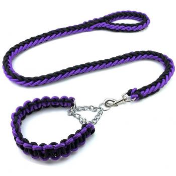 Pet Accessories: Nylon Dog Collar and Leash Set