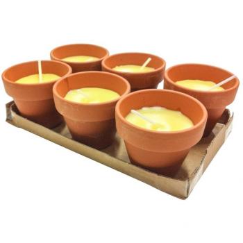 Citronnelle Pollicino 6 Bougies 7x6 cm