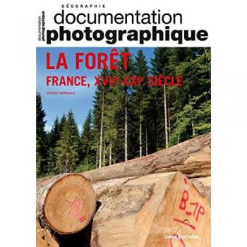 La forêt