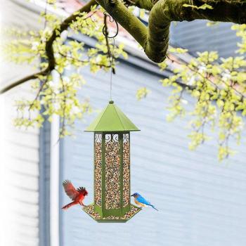 Outdoor Hanging Bird Feeder