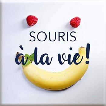 Magnet de Vie Souris