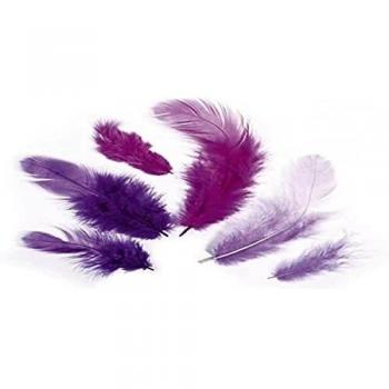 Mélange de plumes violettes 3-10 cm 10 g