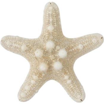 Star Sea Hair Clip for Women