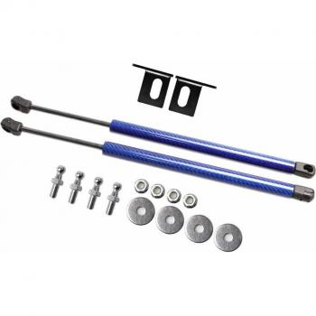 Toyota RAV4 (XA20) 2000-2005 Gas Struts for Bonnet