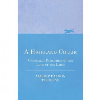 A Highland Collie