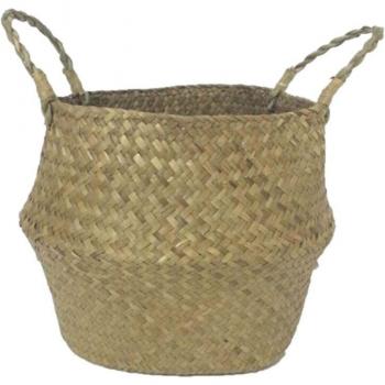 Nursery Pot