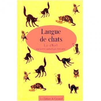 Langue de chats : Le chat