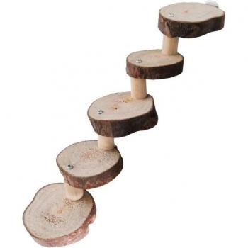 Soporte de plataforma para el cuidado de los dientes