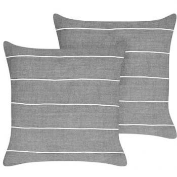 Linen Cotton Scatter Cushions Set of 2