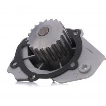 RIDEX Vattenpump Kuggar – 20 1260W0198 PEUGEOT CITROËN LADA 306 Schrägheck 7A