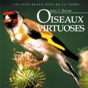 Vögel der Virtuosität