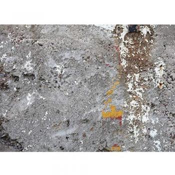 Livingwalls Tapisserie Béton Panoramique