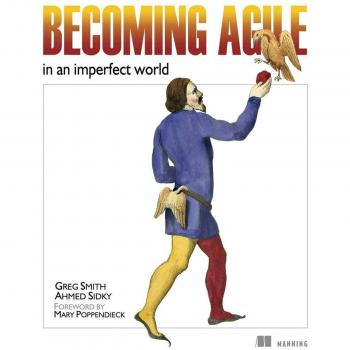 Vitalsource Technologies, Inc. Becoming Agile: In An Imperfect World