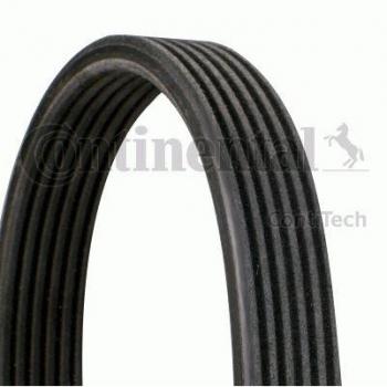 Continental 6DPK1825 V-Ribbed Belt