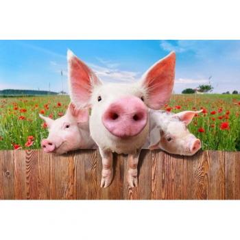 Papermoon Fototapete Bunte Schweine im Blumenmeer