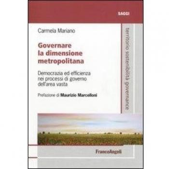 Governare la dimensione metropolitana. Democrazia ed efficienza nei processi di governo dell'area vasta