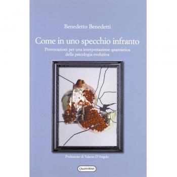 Come in uno specchio infranto. Provocazioni per una interpretazione quantistica della psicologia evolutiva
