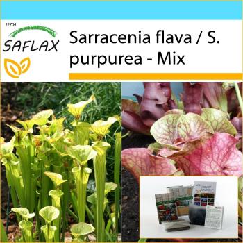 Safflux 10-Seed Pitcher Set