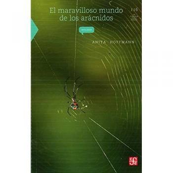 MARAVILLOSO MUNDO DE LOS