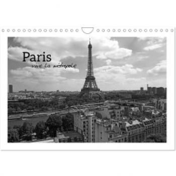 Paris vive la métropole (Wandkalender 2024 DIN A4 quer) CALVENDO Monatskalender