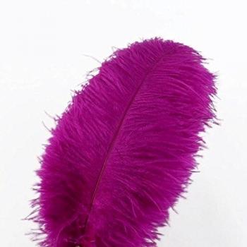 Accesorio Nupcial Saguaro Plumas Naturales