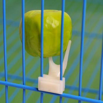 Alimentador de plástico para loros