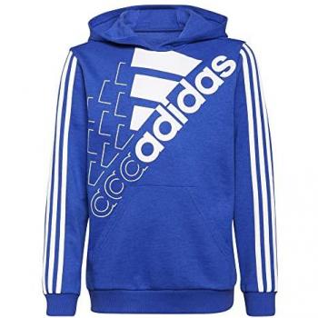 Sudadera Deportiva Adidas Logo HD SWT GS2189