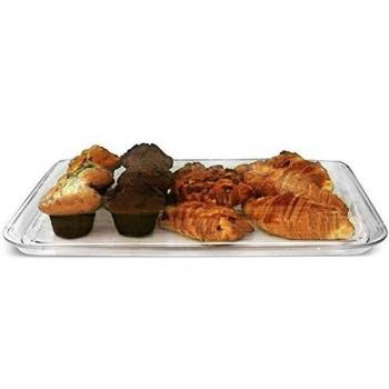 Zodiac JB‑1520 38 cm × 50 cm Recto Tray – Polycarbonate