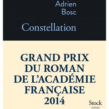 Constellation  ( Grand Prix roman Académie Française 2014 )