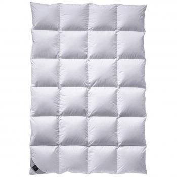 Billerbeck NENA® Winterkassette II mit Gänsedaunenfüllung 155x220 cm – Allergikergeeignet,