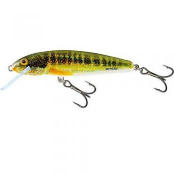 Nageur Salmo Mini‑Holo – Modèle M6F