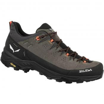Salewa Alp Trainer 2 M