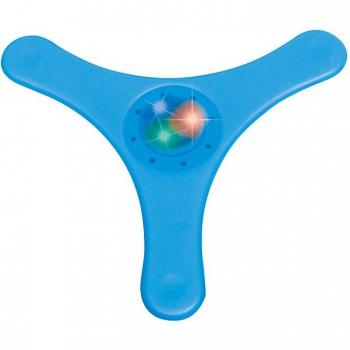 Outdoor Dog Frisbee