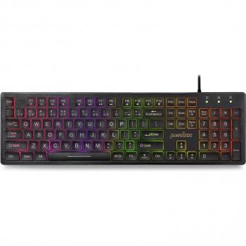 Big Print Backlit USB Keyboard – PERIBOARD‑317RGB