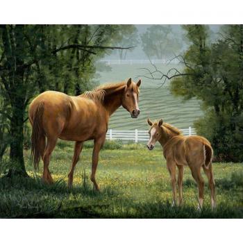 5D Strassmalerei Pferd DIY Kreuzstich 20x30 cm
