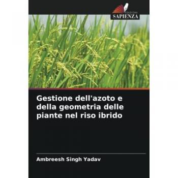 Gestione dell'azoto e della geometria delle piante nel riso ibrido