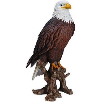 Vivid Arts American Bald Eagle Resin Ornament